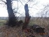 Рождественский парк